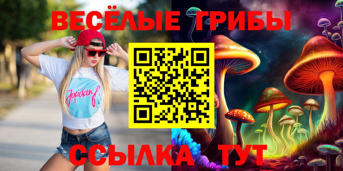 Междуреченск  Галлюциногенные грибы мицелий  Вход с VPN 